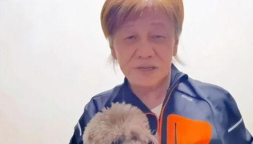 一口气看完娱乐圈吃瓜系统,揭秘吃瓜系统背后的秘密与真相