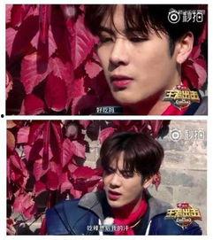 娱乐吃瓜君王嘉尔小说,娱乐圈的瓜田传奇