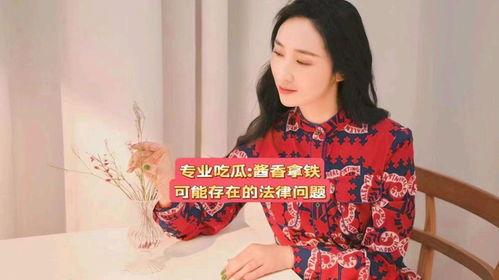 娱乐吃瓜酱法律有多严谨