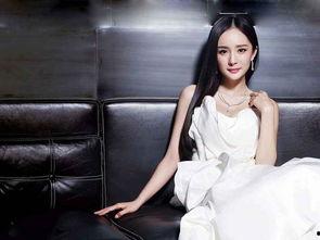 吃瓜八卦娱乐圈杨幂