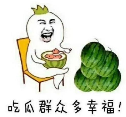 娱乐圈吃瓜的瓜,揭秘明星背后的故事与争议