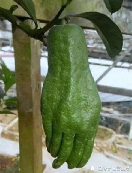 娱乐圈的大瓜吃瓜,揭秘明星背后的惊人真相