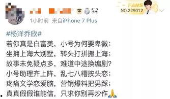 吃瓜小说娱乐圈番茄小说,番茄小说中的瓜田盛宴