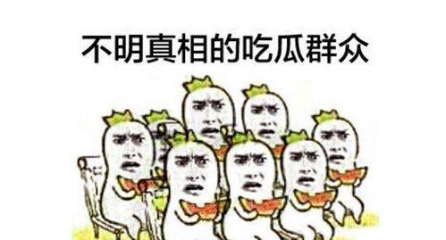 吃瓜群众网热心的朝阳群众开火车,吃瓜群众热议不断